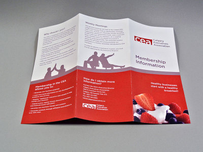 Tri Fold Brochure