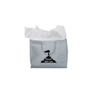 Promotional Paper Bag