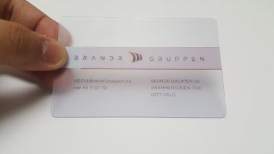 Frosted Plastic Business Card