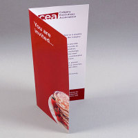 Half Fold Brochure
