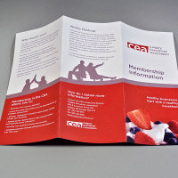 Tri Fold Brochure