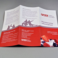 Digital Copy Brochure