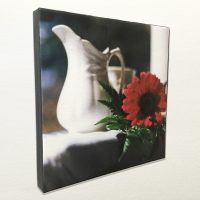 Canvas Art Print