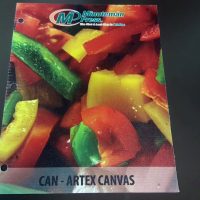 Artex Canvas