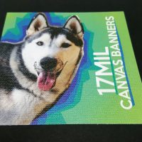 17mil Canvas