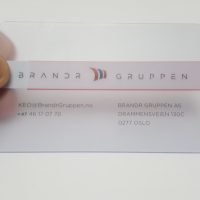 Frosted Plastic Business Card