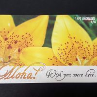 149t Uncoated 4/4 Postcard