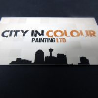 Plastic Business Card